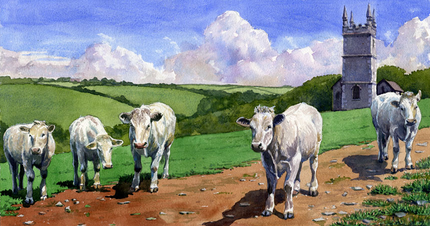 Morwenstow, Church, Cornwall, cows, bullock, watercolour, painting