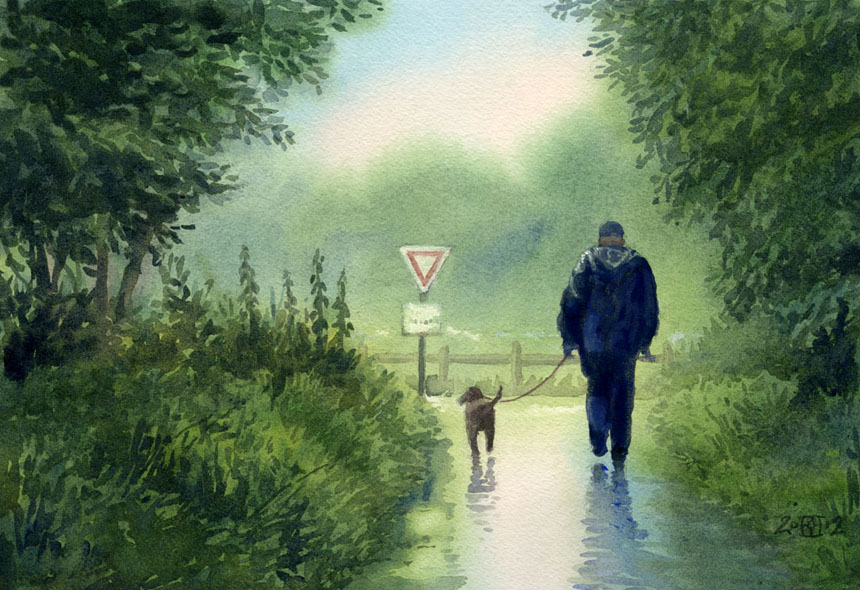 dog, rain, watercolour
