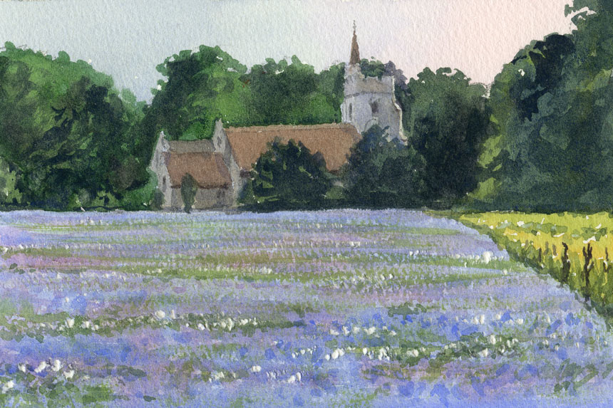 Kent, Sheldwich, flowers, field