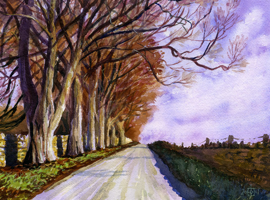 Cotswolds, beech trees, watercolour, painting