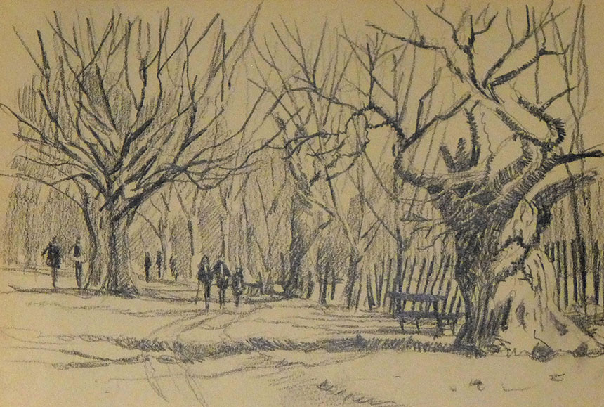 Richmond Park, Pencil, drawing, trees