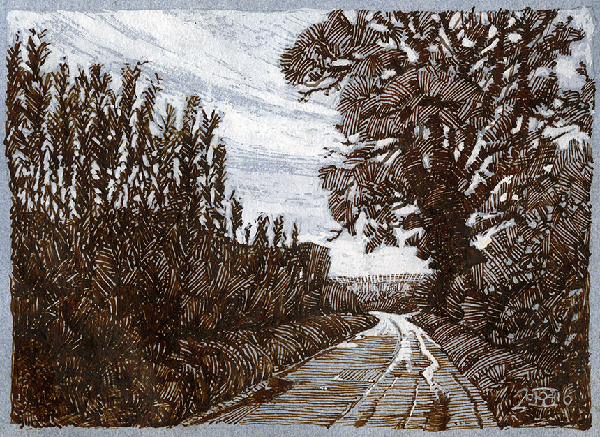 Bedchester, tree, lane, Dorset, pen and ink, Drawing