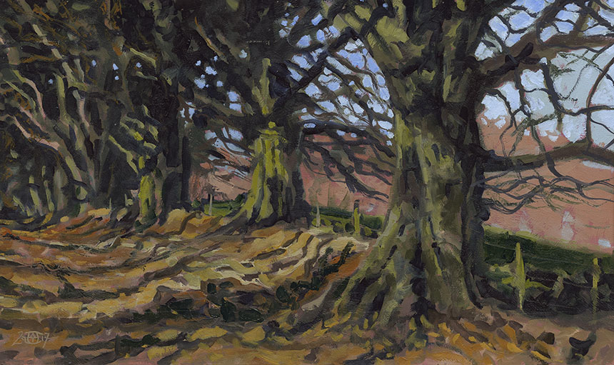 Beeches, Lewesdon Hill, oil painting, Dorset