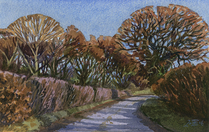 Trees, watercolour, dorset, painting